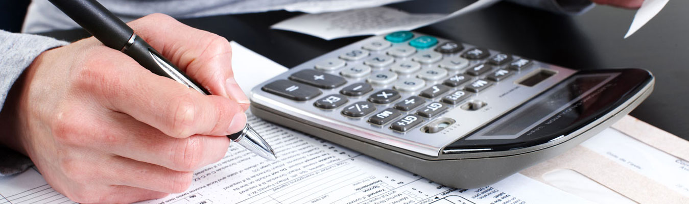 Individual and business tax return Virginia